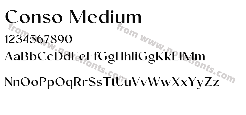 Conso MediumPreview