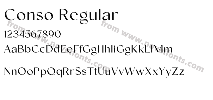 Conso RegularPreview