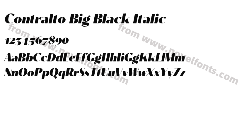 Contralto Big Black ItalicPreview