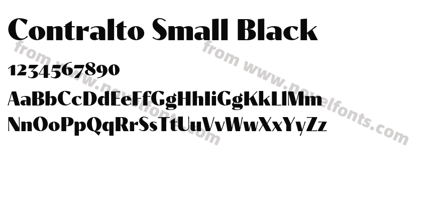 Contralto Small BlackPreview