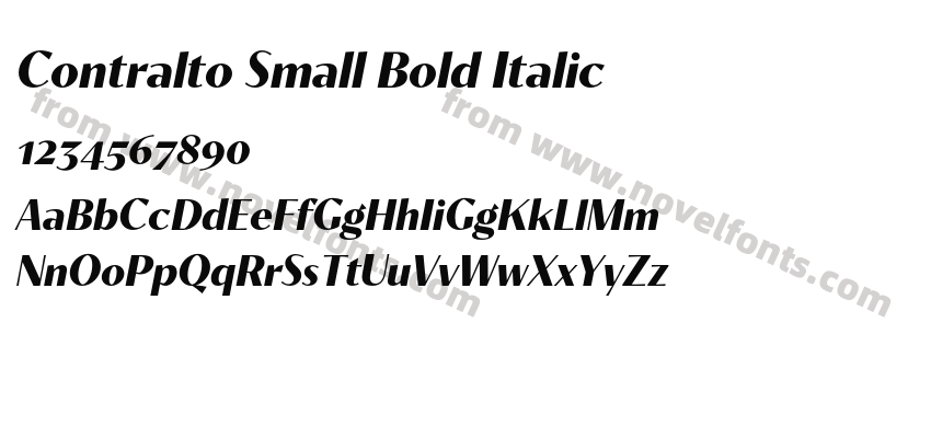 Contralto Small Bold ItalicPreview