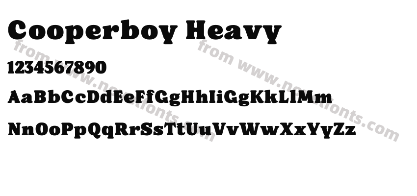Cooperboy HeavyPreview