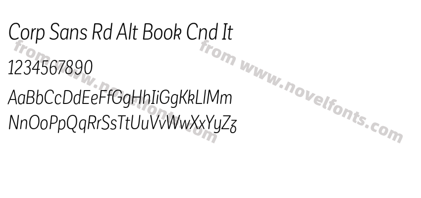 Corp Sans Rd Alt Book Cnd ItPreview