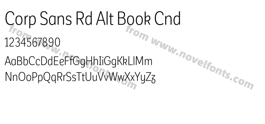 Corp Sans Rd Alt Book CndPreview