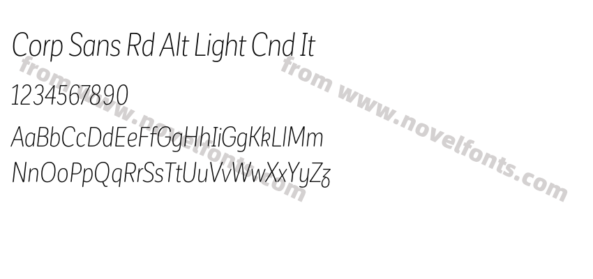 Corp Sans Rd Alt Light Cnd ItPreview