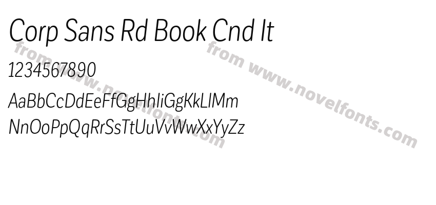 Corp Sans Rd Book Cnd ItPreview