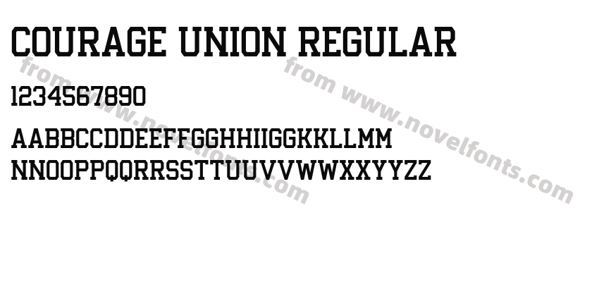 Courage Union RegularPreview