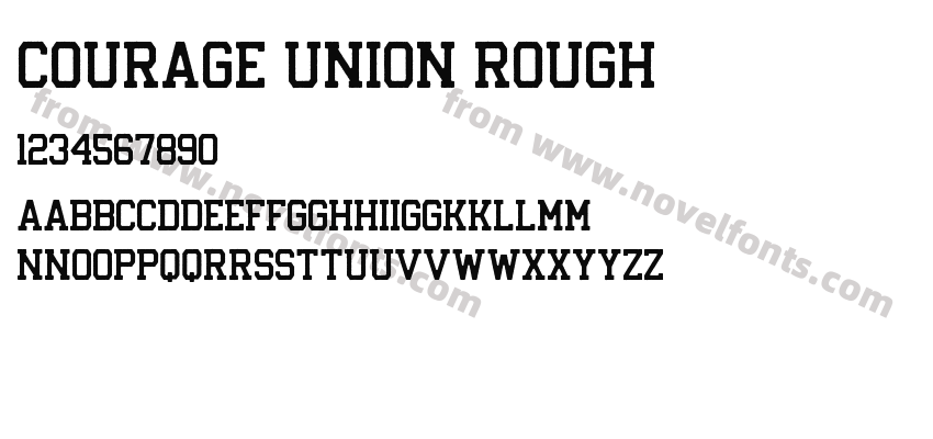 Courage Union RoughPreview