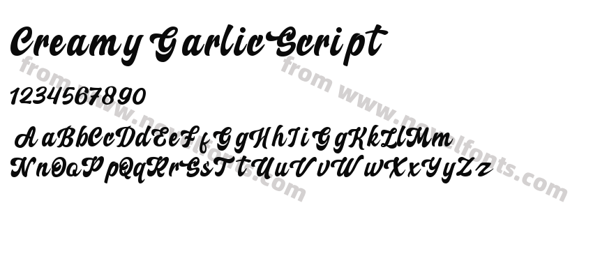 Creamy Garlic ScriptPreview