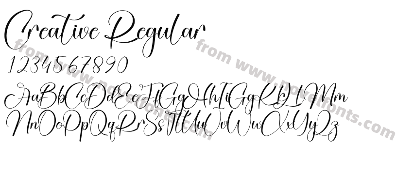 Creative RegularPreview