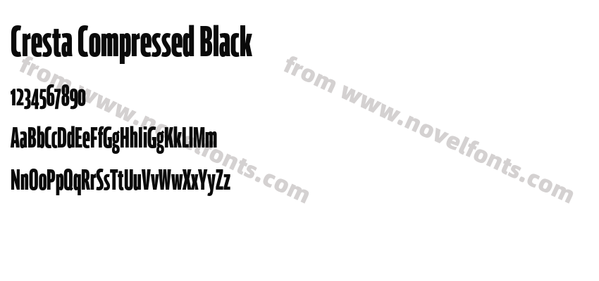 Cresta Compressed BlackPreview