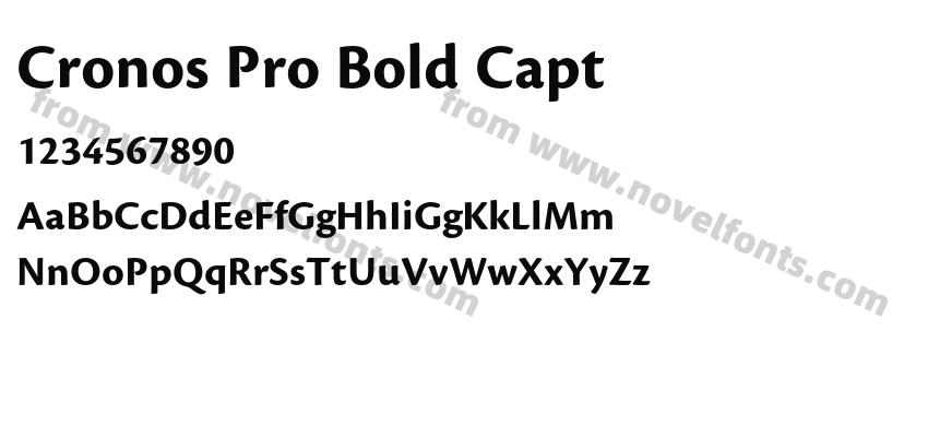 Cronos Pro Bold CaptPreview