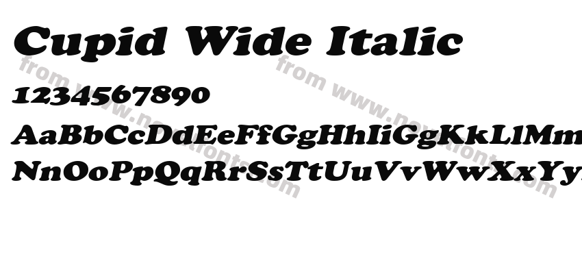 Cupid Wide ItalicPreview