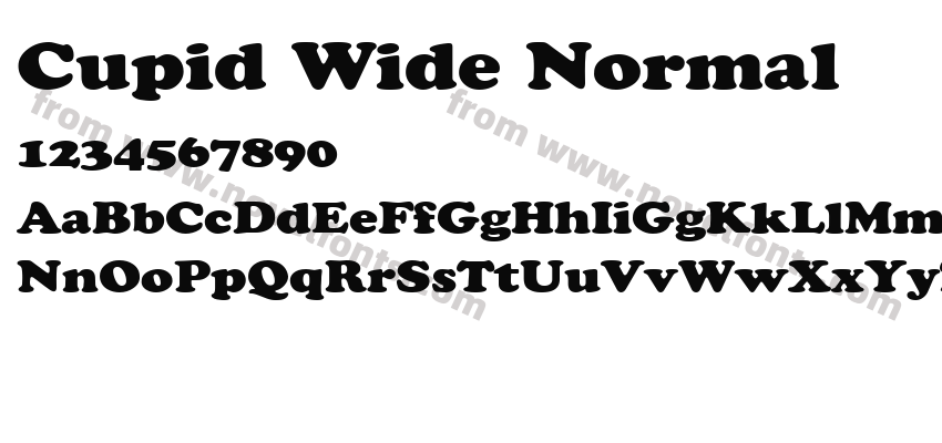 Cupid Wide NormalPreview