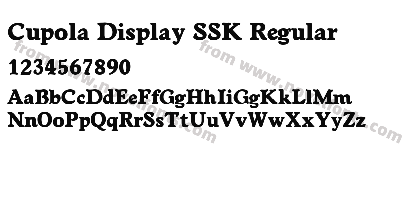 Cupola Display SSK RegularPreview