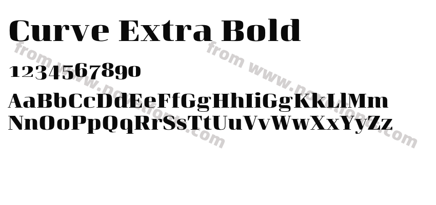 Curve Extra BoldPreview