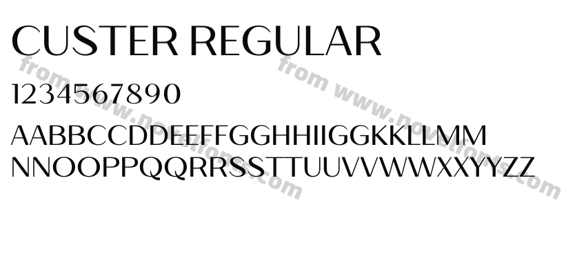 Custer RegularPreview