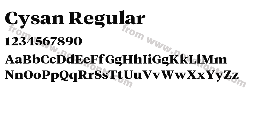 Cysan RegularPreview