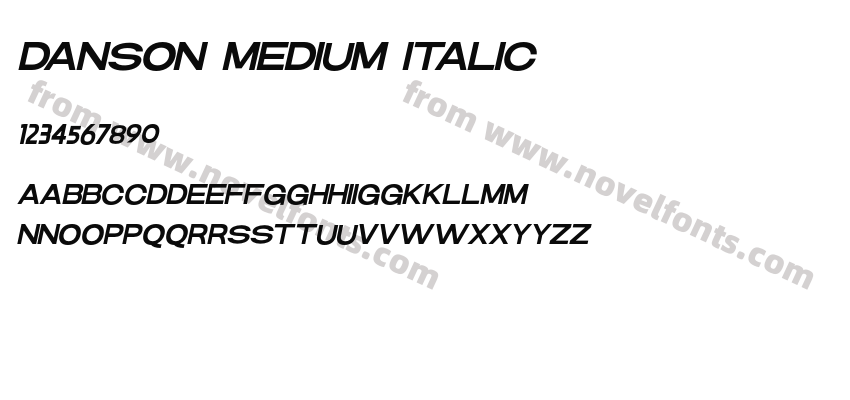 DANSON MEDIUM ITALICPreview