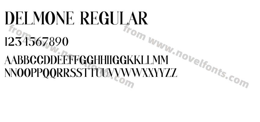 DELMONE RegularPreview