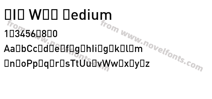 DIN WXX MediumPreview