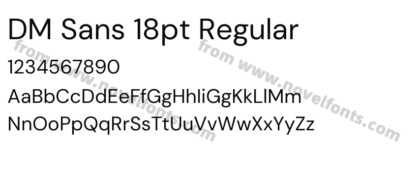 DM Sans 18pt RegularPreview