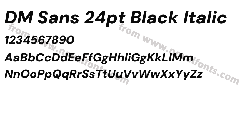 DM Sans 24pt Black ItalicPreview