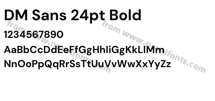 DM Sans 24pt BoldPreview