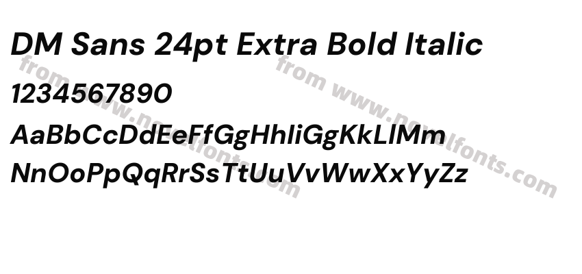 DM Sans 24pt Extra Bold ItalicPreview