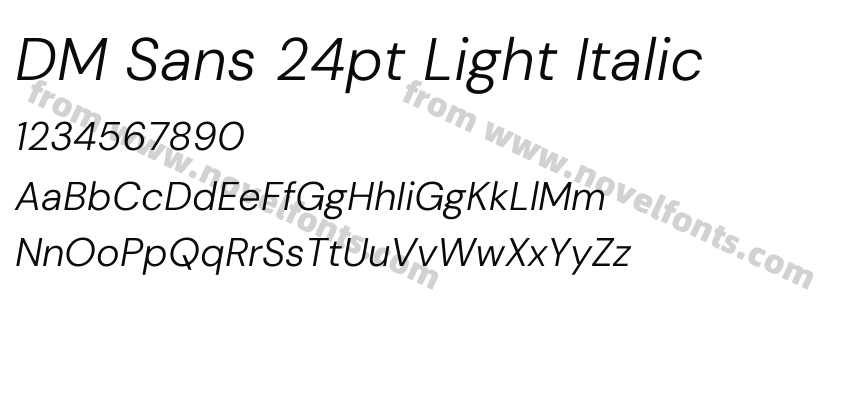 DM Sans 24pt Light ItalicPreview