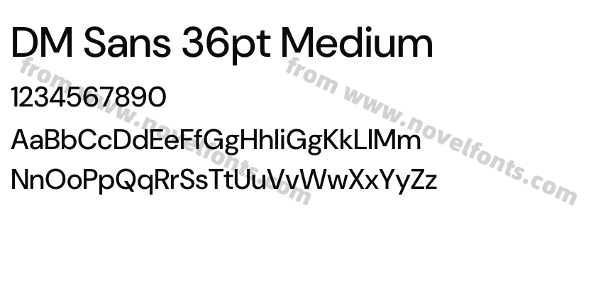 DM Sans 36pt MediumPreview