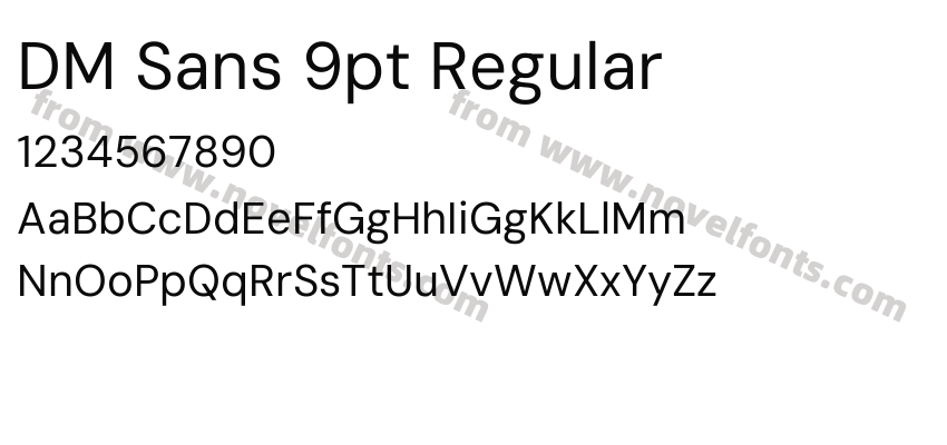 DM Sans 9pt RegularPreview
