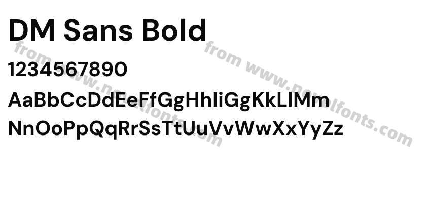 DM Sans BoldPreview