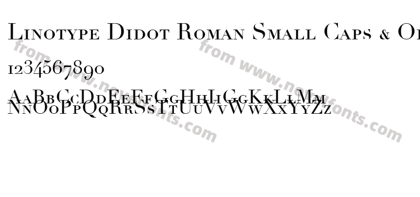 Linotype Didot Roman Small Caps & Oldstyle FiguresPreview