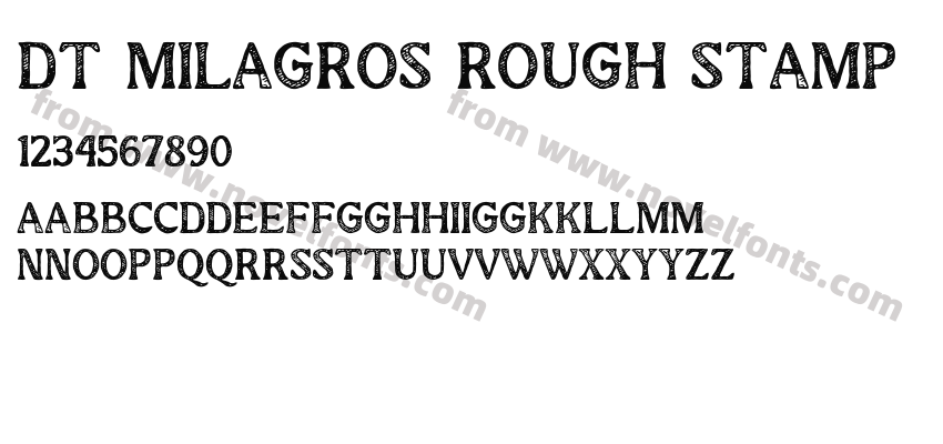 DT Milagros Rough StampPreview