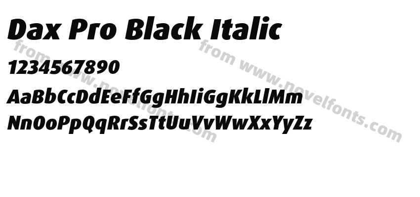 Dax Pro Black ItalicPreview