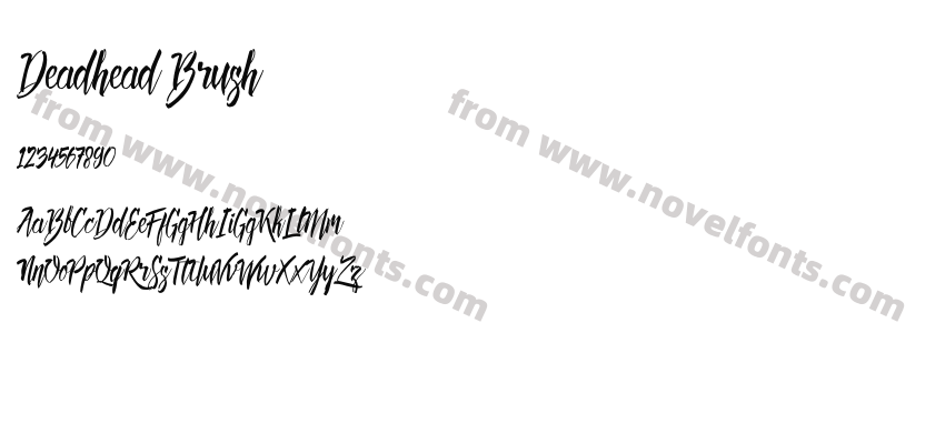 Deadhead BrushPreview