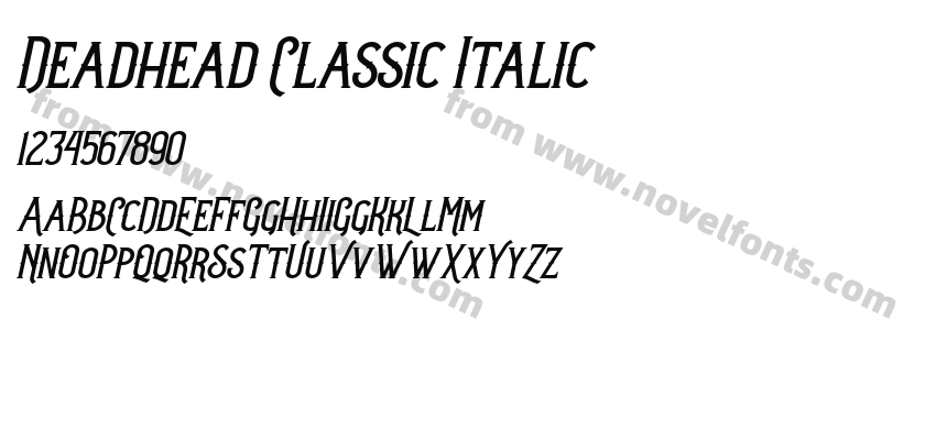 Deadhead Classic ItalicPreview