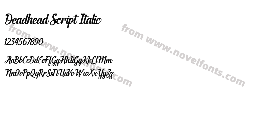 Deadhead Script ItalicPreview