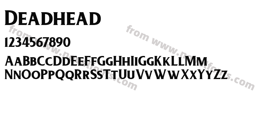 DeadheadPreview