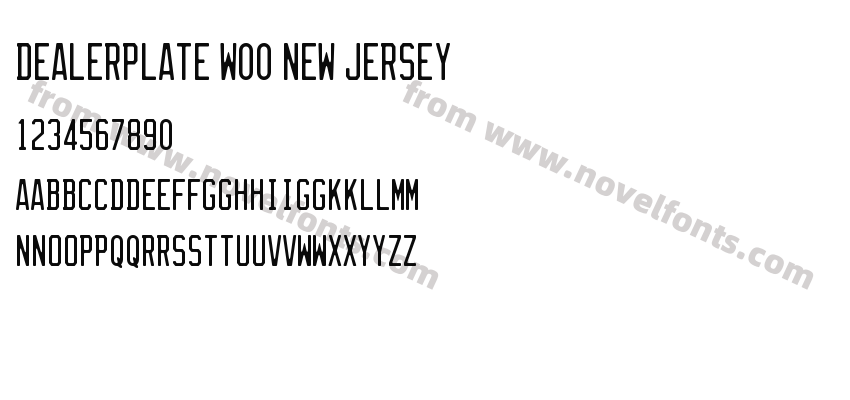 Dealerplate W00 New JerseyPreview