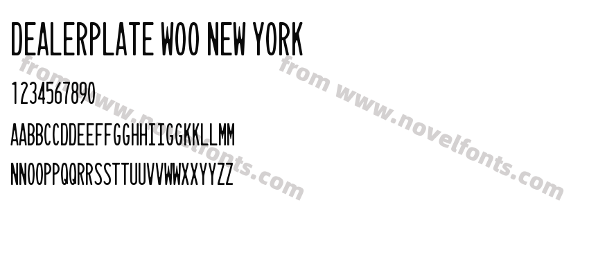 Dealerplate W00 New YorkPreview