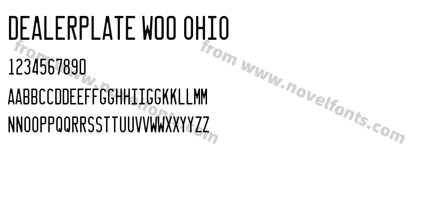 Dealerplate W00 OhioPreview