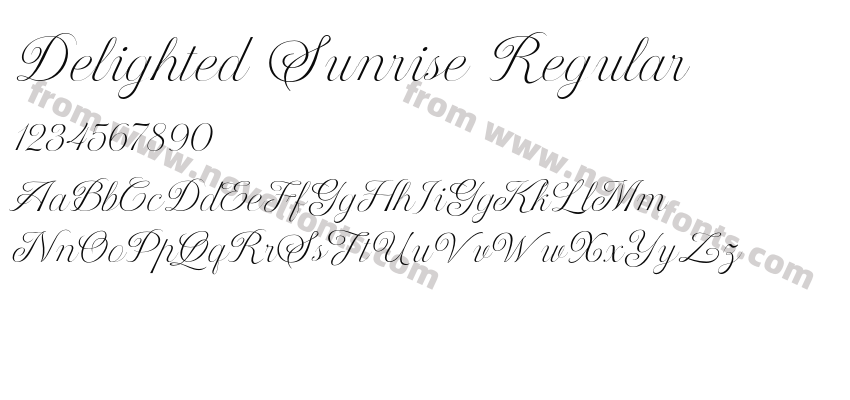 Delighted Sunrise RegularPreview