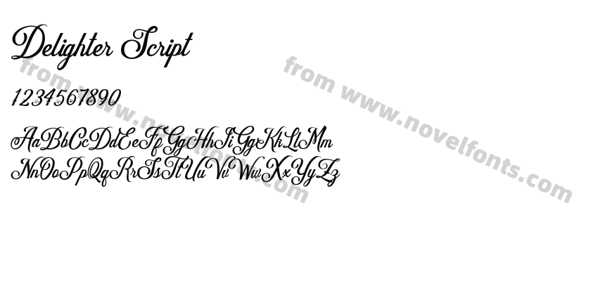 Delighter ScriptPreview