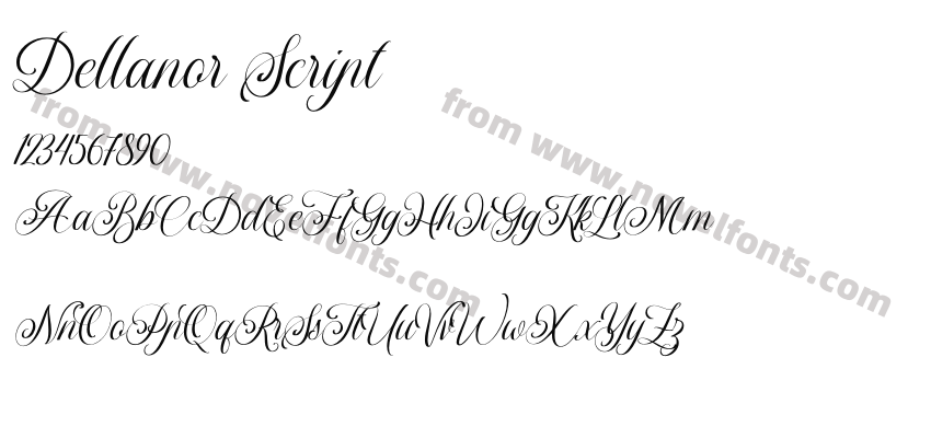 Dellanor ScriptPreview