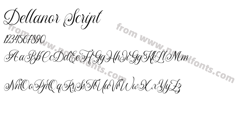 Dellanor ScriptPreview