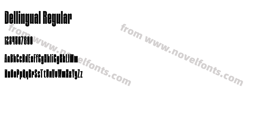 Dellingual RegularPreview