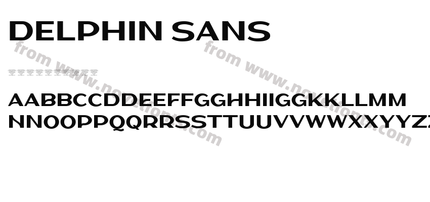 Delphin SansPreview