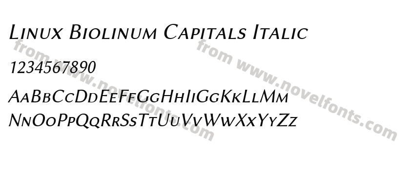 Linux Biolinum Capitals ItalicPreview